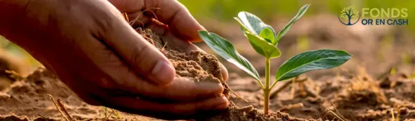 Notre fonds de dotation Or en Cash soutient l'agroforesterie de Marion dans les Alpes de Hautes Provence