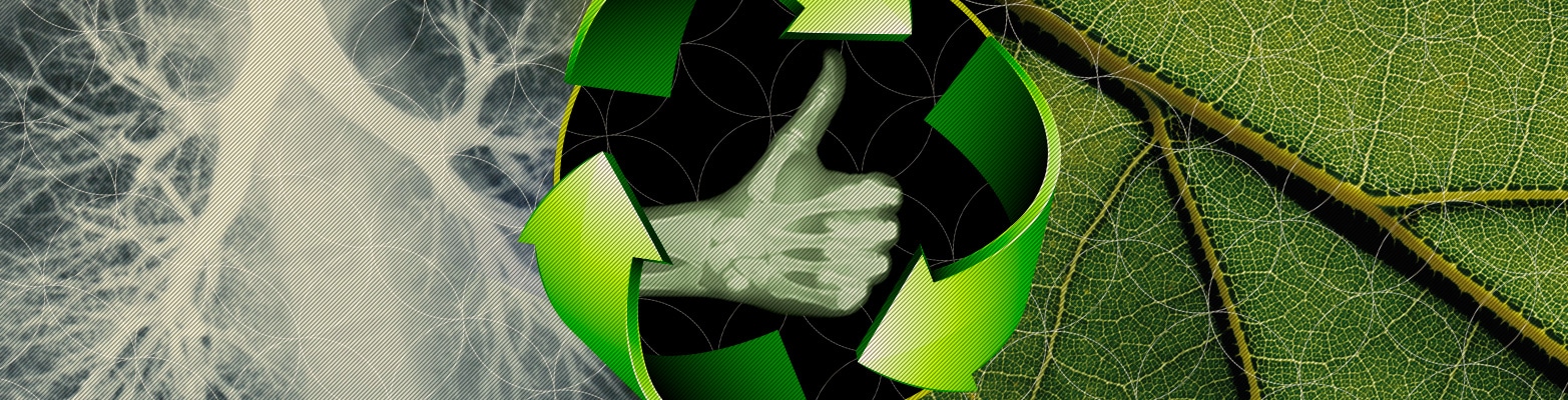 Recyclage radiographie |Que faire des vieilles radios